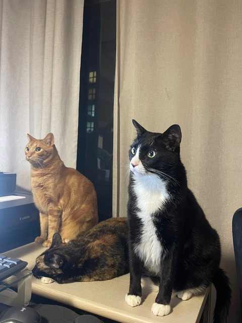 KakaoTalk_20250623_190332588_02