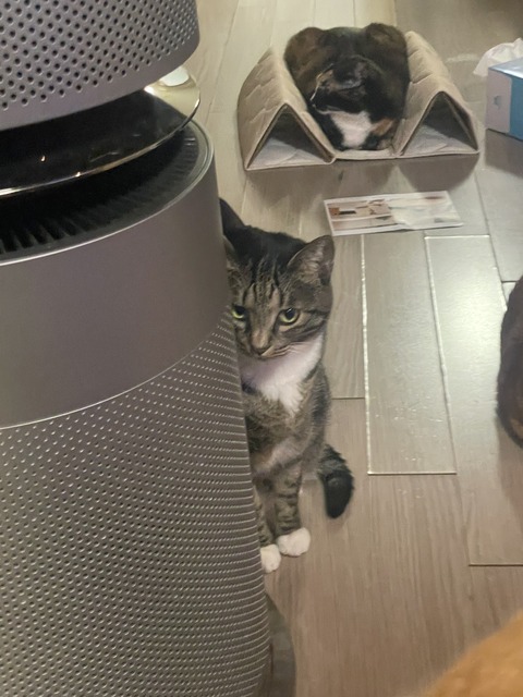 KakaoTalk_20250609_194121741