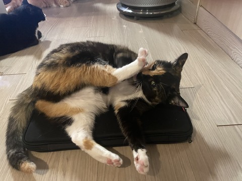 KakaoTalk_20250623_192932703_08