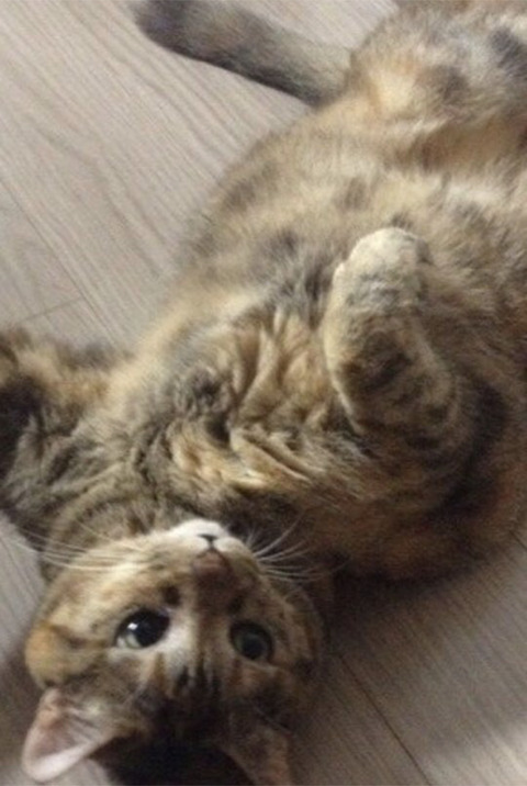 KakaoTalk_20201111_174704450_22