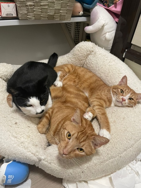 KakaoTalk_20240114_213943627_04