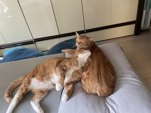 KakaoTalk_20230428_110858271_05