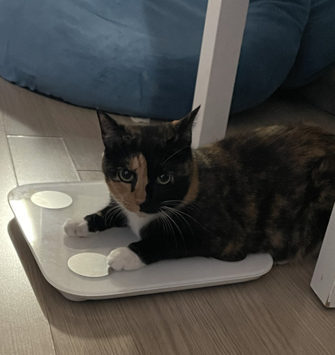 KakaoTalk_20240816_121648185_01