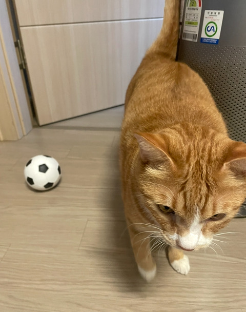 KakaoTalk_20250727_211015389_01
