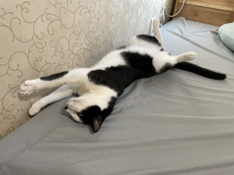 KakaoTalk_20250528_104308929