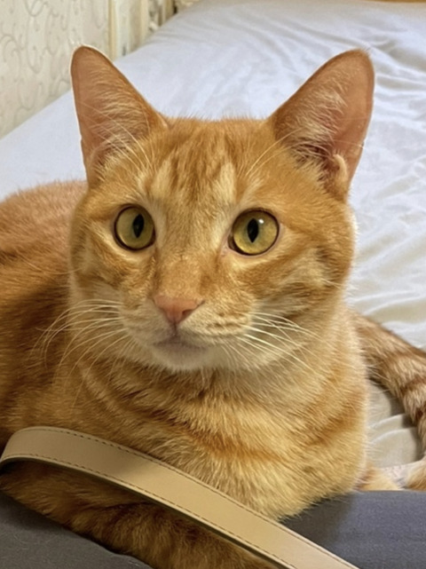 KakaoTalk_20240531_120417719