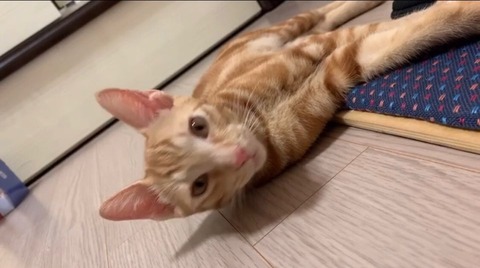 KakaoTalk_20200928_105126443_05