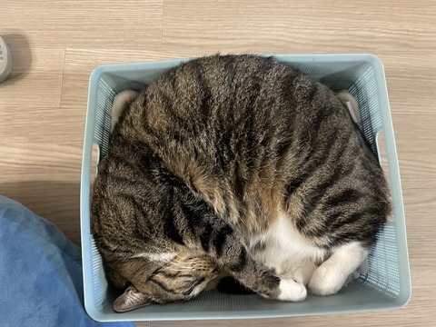 KakaoTalk_20240126_190234364_02