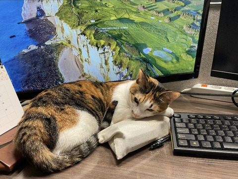 KakaoTalk_20230401_102601243_03