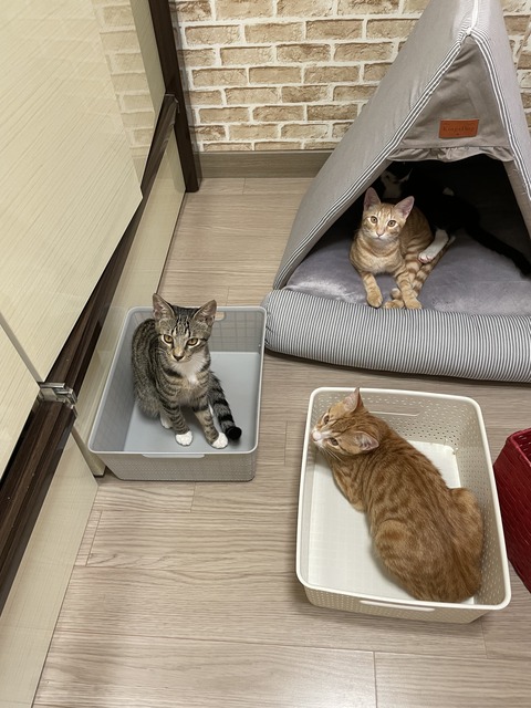 KakaoTalk_20210128_180644617