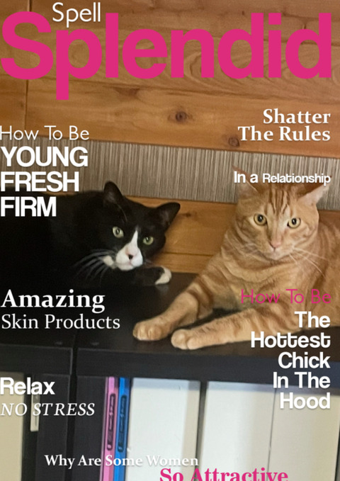 KakaoTalk_20250623_182952167