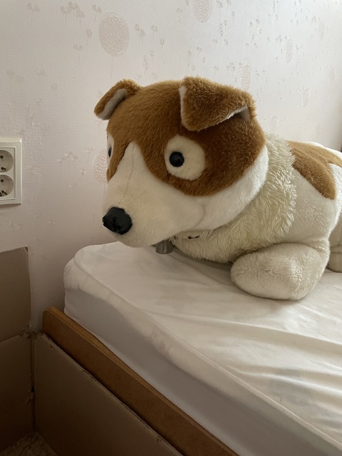 KakaoTalk_20240122_112031393