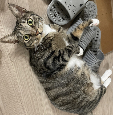 KakaoTalk_20220224_100330827_03