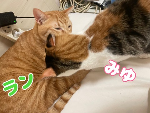 KakaoTalk_20240114_214249056