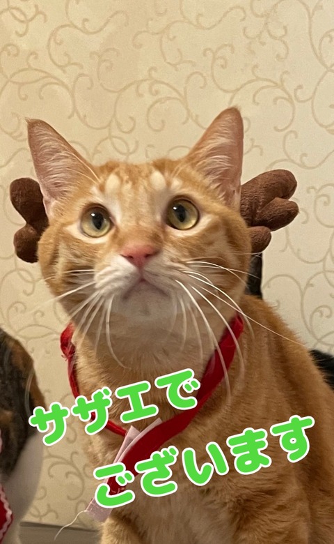 KakaoTalk_20240217_131449787