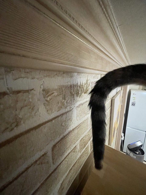 KakaoTalk_20250609_172755642