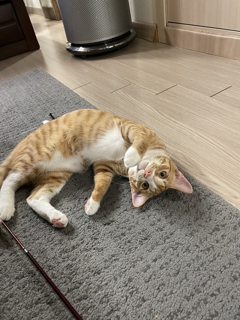 KakaoTalk_20210220_095348377