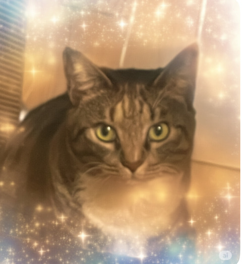 KakaoTalk_20250627_215336821_03