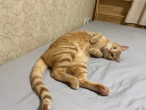 KakaoTalk_20220228_114455714_05