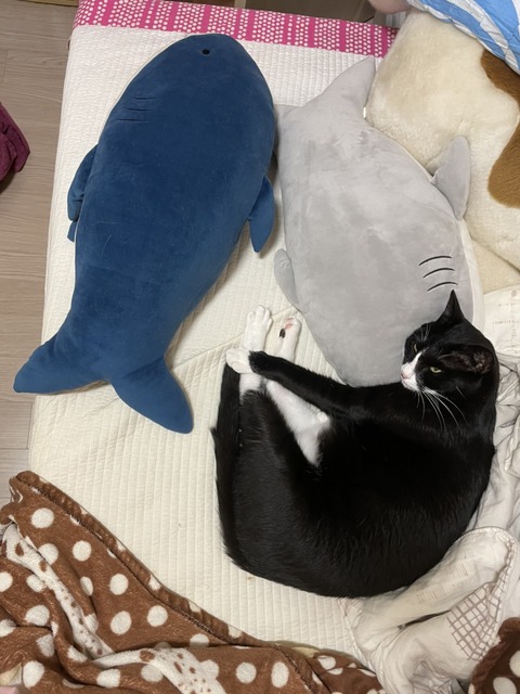 KakaoTalk_20211016_151111526_01