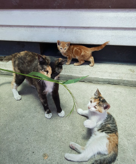 KakaoTalk_20250523_212152244_03