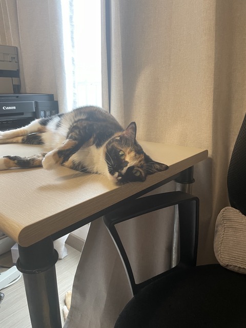KakaoTalk_20240621_095243911_04