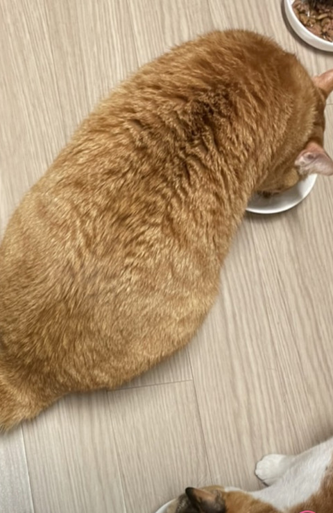 KakaoTalk_20230219_091650970