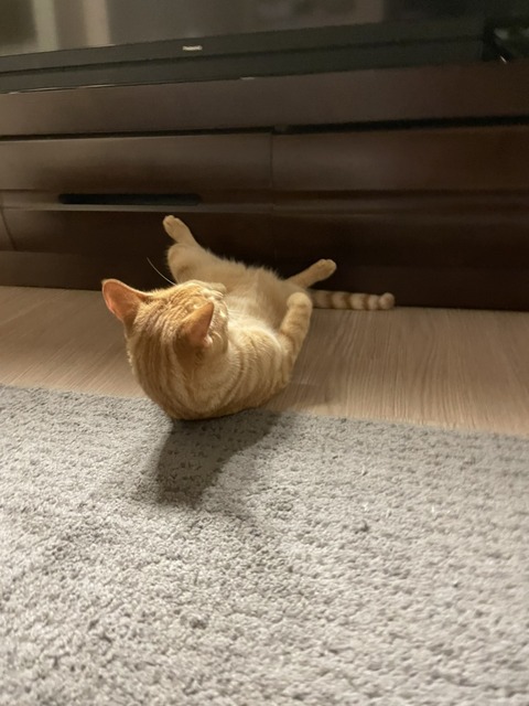 KakaoTalk_20210712_121217198_13 (1)