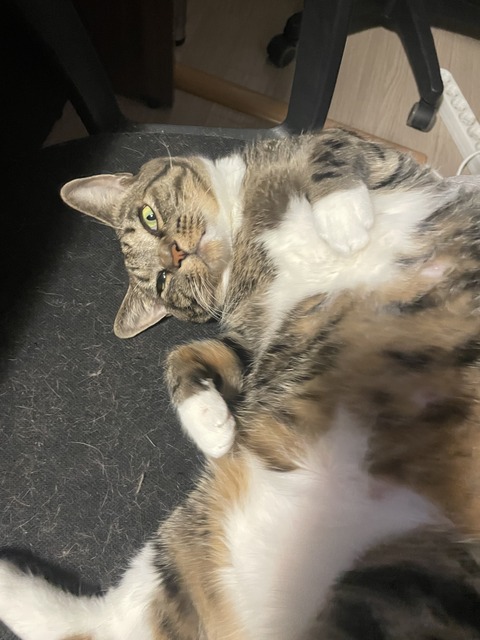 KakaoTalk_20250506_102326065_02