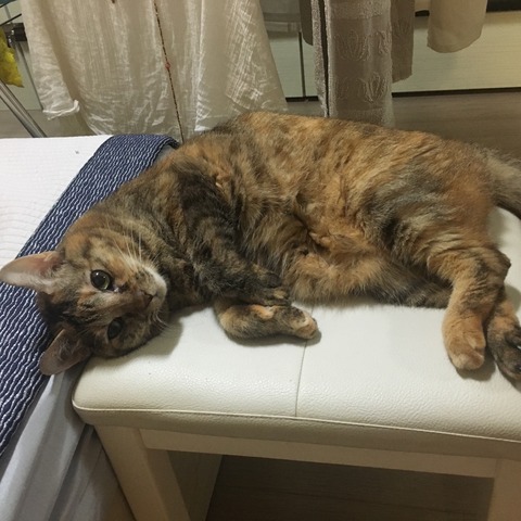 KakaoTalk_20210707_100806309