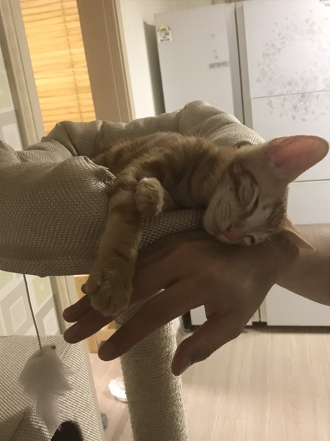 KakaoTalk_20200709_112254369_02