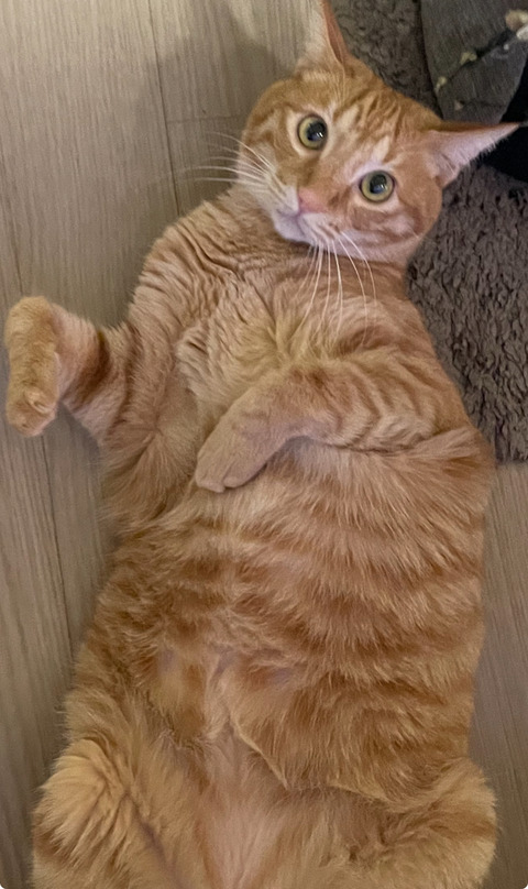 KakaoTalk_20250613_231236863