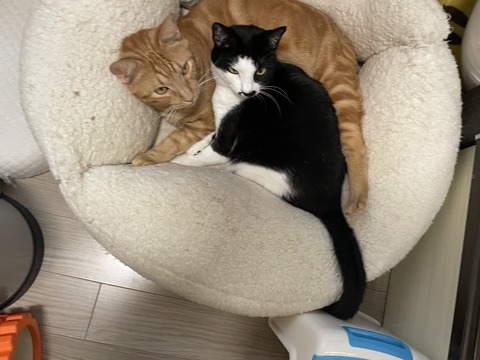 KakaoTalk_20240126_180910792_01