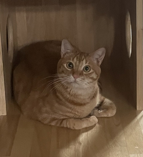 KakaoTalk_20240426_095816006_01