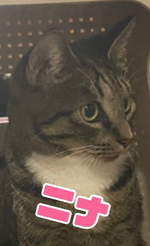 KakaoTalk_20221114_135217180_05