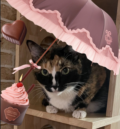 KakaoTalk_20250928_182521196_05