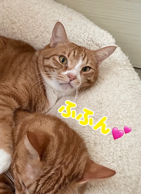 KakaoTalk_20240114_205937372