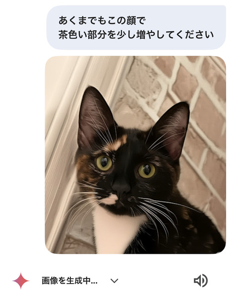 KakaoTalk_20250617_193720206_25