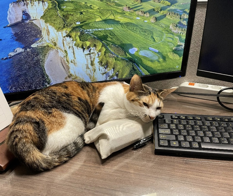 KakaoTalk_20230401_102601243