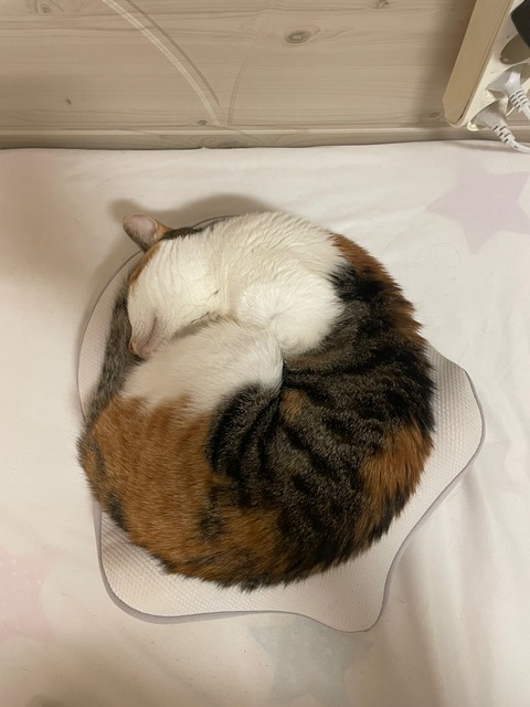 KakaoTalk_20240114_213943627_02