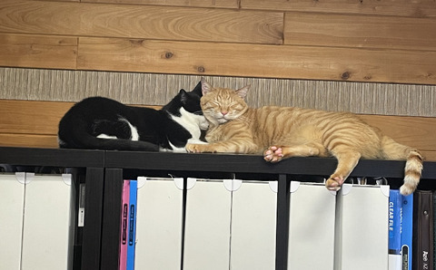 KakaoTalk_20230507_115453346_01