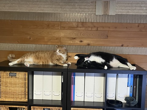 KakaoTalk_20250817_104228530_02