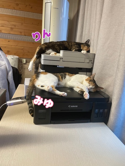 KakaoTalk_20240614_102742923