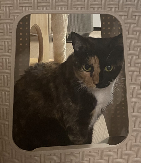 KakaoTalk_20231216_133805358