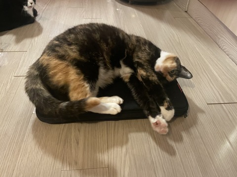 KakaoTalk_20250623_192932703_03