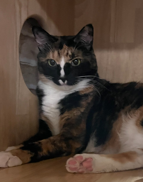 KakaoTalk_20250720_143210793_03