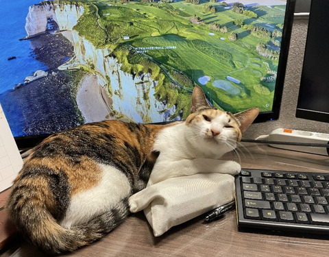 KakaoTalk_20230401_102601243_02