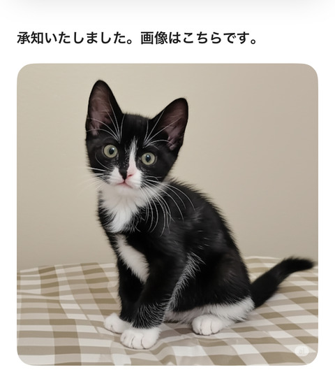 KakaoTalk_20250617_193720206_03