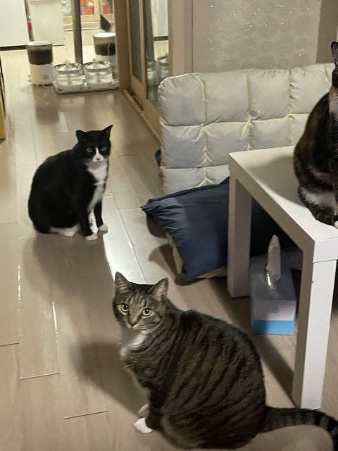 KakaoTalk_20250506_102945816_01