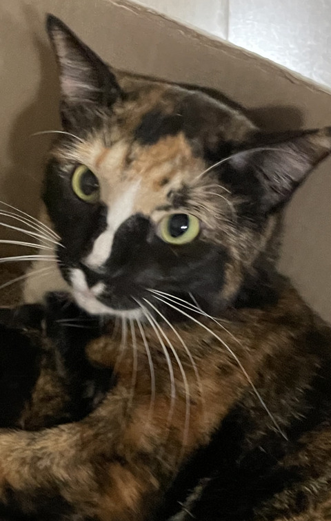 KakaoTalk_20230218_151238743